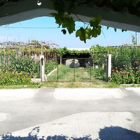Grigorios Apartments Vrasná Zewnętrze zdjęcie